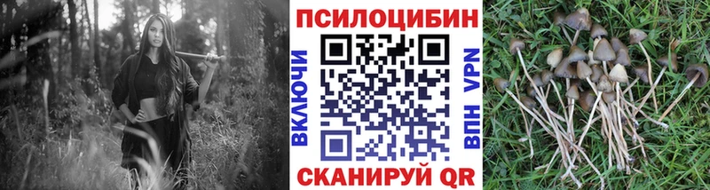 Галлюциногенные грибы мухоморы  Купить где  Искитим 